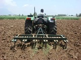 off season tillage to crush snails